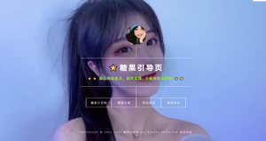 动态视频导航引导页html源码-糖果小屋